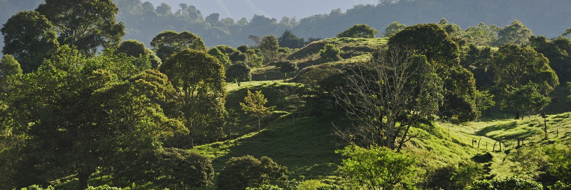 Looming shadow of Volcan Baru overlooking Rain Forest below, Panama, Central America