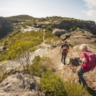 bushwalking-nsw-blue-mountains-australia.jpg