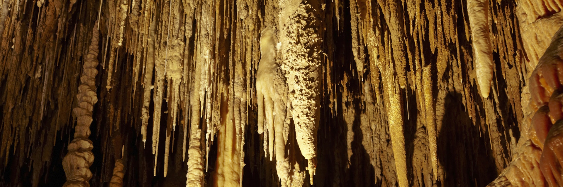 Stalactites, Newdegate Cave, Hastings Caves, Southern Tasmania, Australia