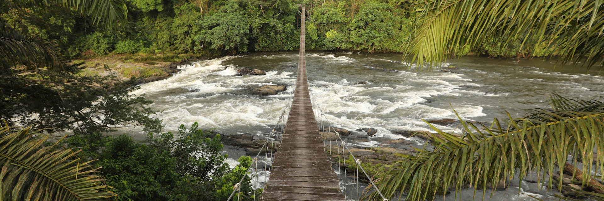 1128792339
africa, landscape - scenery, tranquil scene, flowing water, rainforest, lush foliage, footbridge, rock - object, national park, cameroon, no people, tree, water, travel, nature, forest, river, scenics - nature, stream - flowing water, environment, flowing, leaf, beauty, idyllic, backgrounds, woodland, national landmark, plant, natural parkland, travel destinations, public park, stone - object, rapids - river, No People
Mana River Foot Bridge, entrance to the Korup National Park. One of Africa's oldest and richest rainforests in terms of floral and faunal diversity, Korup National Park is 1,260 km2 of mostly undisturbed primary forest