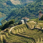 The Douro, Portugal - August 15, 2011: Image captured from the road some kilometers to the west of Oporto, the image shows the Douro river and his vinyards.
133889384
Getty,  RFC,  Travel,  Landscaped,  Scenics,  Vineyard,  Growth,  Idyllic,  Cultures,  Agriculture,  Outdoors,  Horizontal,  Portugal,  Europe,  Grape,  Day,  Mountain,  Hill,  Valley,  Field,  Landscape,  River,  Farm,  Beauty In Nature,  Color Image,  Douro River,  Douro Valley,  High Angle View,  Mediterranean Culture,  No People,  Physical Geography,  Portuguese Culture,  Rural Scene,  Terraced Field,  The Douro,  Tranquil Scene,  Aerial View,  Architecture,  Building,  Countryside,  Farm,  Nature,  Outdoors,  Rural
Image captured from the road some kilometers to the west of Oporto, the image shows the Douro river and his vinyards.