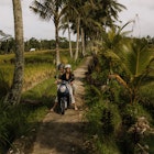 1449308888
Couple driving a motorbike between fields with palm trees