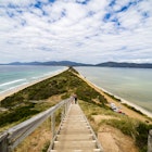 Bruny Island, located just south of Hobart is an island made up of North Bruny and South Bruny joined by a 5km-long sandy isthmus called 'The Neck'. Tasmania, Australia
628693522