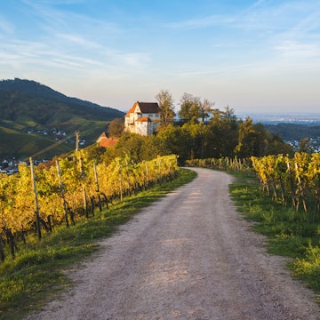 Vineyards and Staufenberg Castle in Durbach.