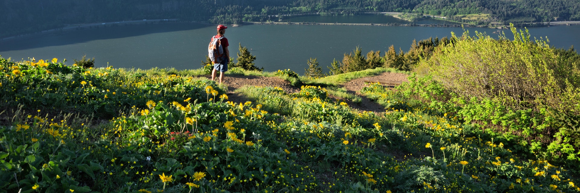 Hiker overlooking the Columbia River from the Dog Mountain Trail in the Columbia River Gorge National Scenic Area.