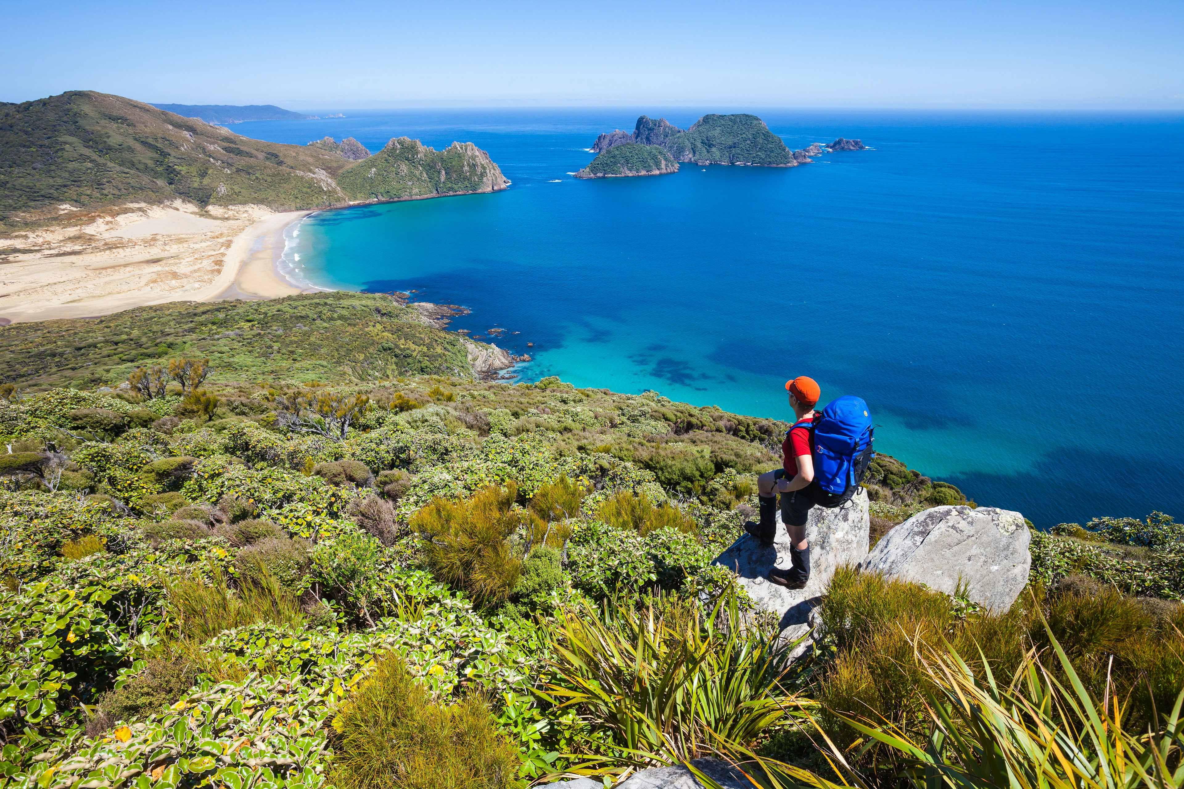 A hiker stands on a high ledge overlooking the coastline.