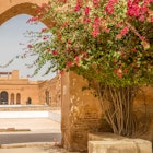 Gate in ruins of El Badi palace in Marrakesh - Morocco  License Type: media  Download Time: 2023-06-18T19:50:41.000Z  User:   Is Editorial: No  purchase_order: 56530
