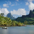 Small boat in Cooks Bay with Moua Puta mountain in the background on the island of Moorea.
433393666
island, green, tropical, travel, trees, skyline, pacific, forest, polynesia, mountain, bay, tourism, water, tahiti, nature, palm, volcano, landscape, jungle, moorea, opunohu, bora, cooks, french, moua, puta
