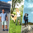 LP Writers Collage.png